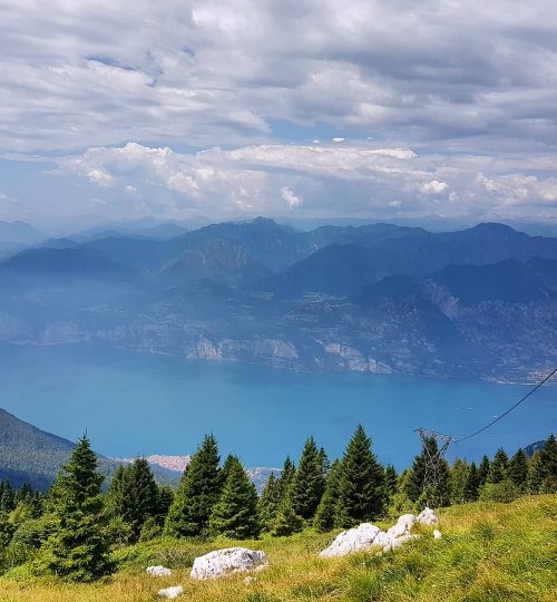 oserogarda2