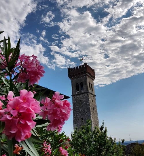 oserogarda3